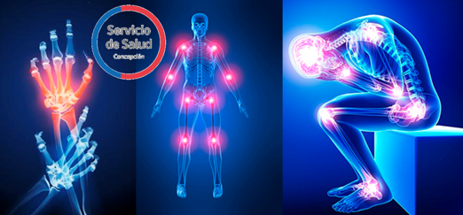 Evitando dolencias musculo esqueléticas TMERT